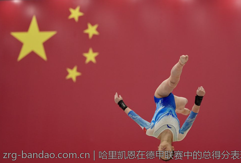 哈里凯恩在德甲联赛中的总得分表现汇总