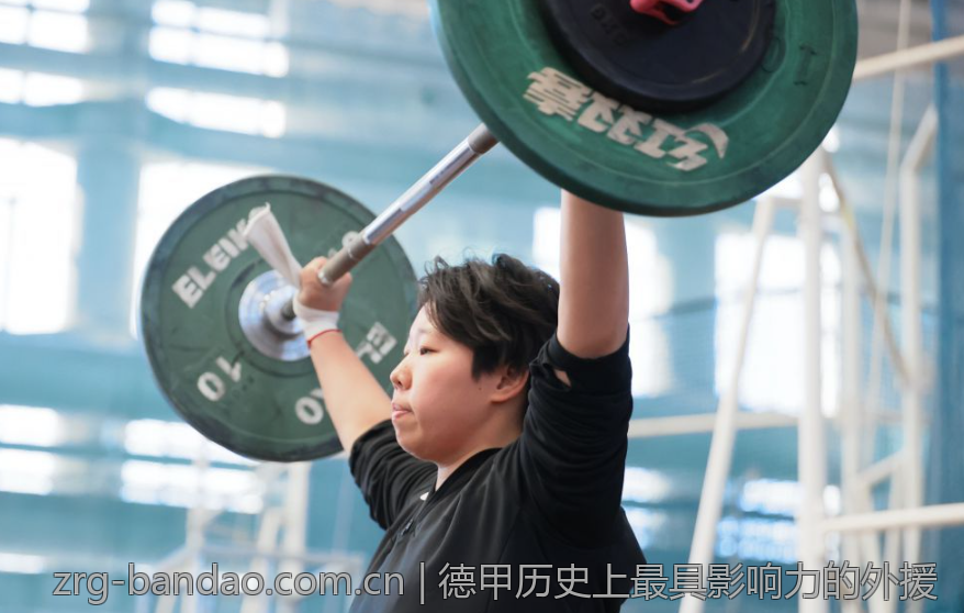 德甲历史上最具影响力的外援