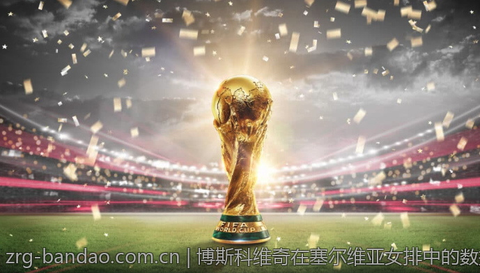 博斯科维奇在塞尔维亚女排中的数据分析